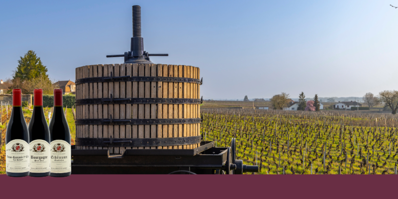 Domaine Desaunay-Bissey : finesse et grands terroirs de Bourgogne